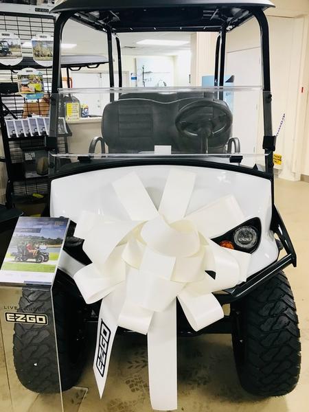 Front view of 2025 E-Z-GO Liberty ELiTE Lithium Bright White in Orlando Florida